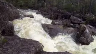 Whitewater Kayaking Tasmania