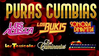 LOS TEMERARIOS, LOS ACOSTA, BRYNDIS, BRONCO ~ GRANDES ÉXITOS CUMBIA ~ 40 RECUERDOS DEL AYER