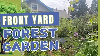 2 Unexpected Perks of Having a Front Yard Food Forest