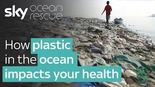 Report: How plastic in the Ocean impacts your health | #OceanRescue