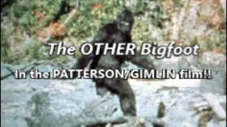 The OTHER BIGFOOT in the Patterson/Gimlin Film ~ WBC #165 / M.k. Davis & Blayne Tyler