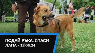 Подай ръка, спаси лапа 12.05.24