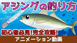 【アジングの釣り方】初心者必見！ジグ単でアジが釣りたいです。