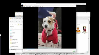 Creating YouTube Short Using ffmpeg