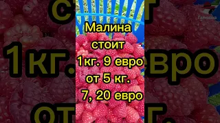 МАЛИНА! РВИ и ЕШЬ СКОЛЬКО ХОЧЕТСЯ. КРУПНАЯ, СЛАДКАЯ, ОТБОРНАЯ !. #shorts