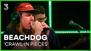 Beachdog live met 'Crawl In Pieces' | 3FM Live Box | NPO 3FM