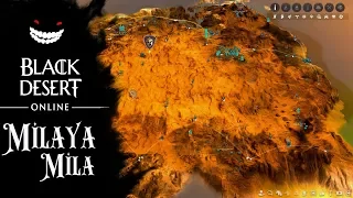 BLACK DESERT.КВЕСТ.ОАЗИСЫ НА КАРТЕ ВАЛЕНСИИ