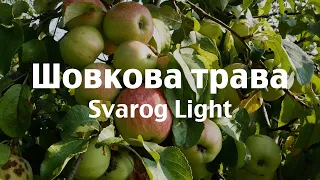 Svarog Light  - Шовкова трава (2023)