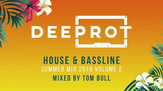 HOUSE & BASSLINE SUMMER MIX 2019 #2