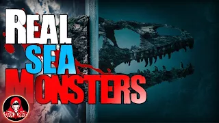 5 REAL Sea Monster Sightings - Darkness Prevails