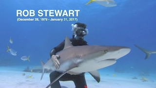 ROB STEWART: Sharks to Stars [Tribute]