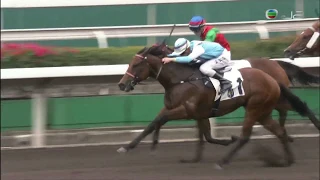 2019/20 (404) - Lone Eagle (鑽飛鷹) - 梁家俊 (36倍)