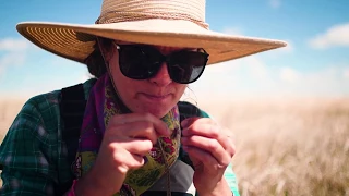 Fly Fishing - Western Style - Plains Lakes - Laramie, Wyoming