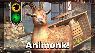 Animonk Returns! - Animal Monk - The Elder Scrolls Legends