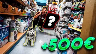 COMPRANDO TODO LO QUE MI CACHORRO TOCA!! **ME GASTO 500€** husky siberiano [Shooter]