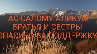 Был ли Исус действительно распят? #доктор закир найк