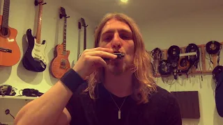 How to Breathe Correctly on Harmonica (Breath Control Lesson) Hold notes for over 40 seconds!