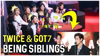 Twice And Got7 Being Siblings