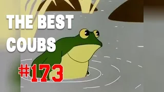 Best COUB #173 - HOT WEEKS VIDEOS