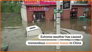 China suffers $42 billion in economic losses from disasters