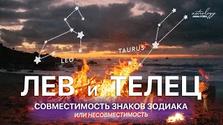 ЛЕВ И ТЕЛЕЦ СОВМЕСТИМОСТЬ ЗНАКОВ ЗОДИАКА