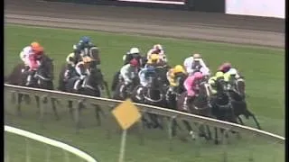 1996 Golden Slipper - Merlene