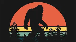 Bigfoot in North Georgia