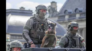 DSU/CGSU - Belgian Special Units