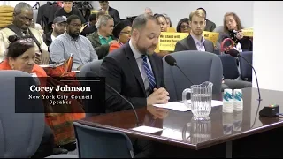 Speaker Johnson’s complete testimony @ New York State Assembly’s Committee on Housing Public Hearing