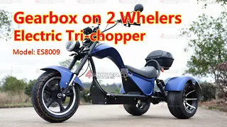 2 Wheelers Electric Tri-Chopper on Rear Wheels Gearbox Driving ES8009