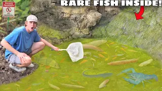 Saving Every Fish LIVING in ABANDONED POND!