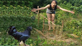 Beautiful Girl Make Simple Chicken Trap Use Bamboo That Work 100%-Catch Chicken for Puppy