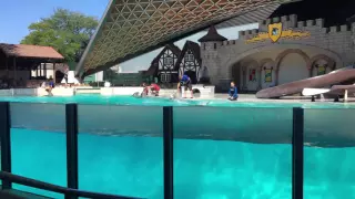 MarineLand Show :king Waldorf's Show