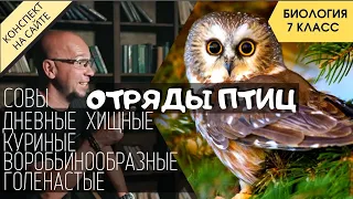 Класс Птицы. Биология 7 класс. Отряды птиц: дневные хищные, совы, воробьинообразные.. Летающие птицы