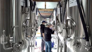 Process of Making Craft Beer. Korean Countryside Brewery