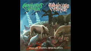 Animals Killing People // Andromorphus Rexalia - Phylum Morph-Apokalupsis (Full Album)
