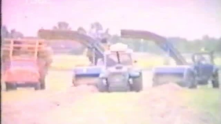 Heinategu Kirbla luhas 1982