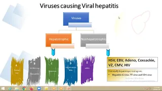 A Class On Viral Hepatitis By Dr Vittal,Dept Of Paediatrics