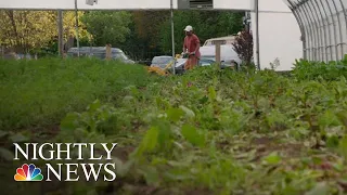 This Detroit Farm Is Helping Former Inmates Stay Out Of Prison | NBC Nightly News