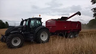 Harvest 2020 Kicks Off  - Combining Winter Barley with Case Combine 2020