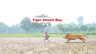 Tiger Attack Man in Forest | Fun Made Movie 2022