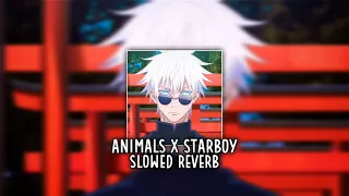 ANIMALS X STARBOY | SLOWED REVERB 🎧