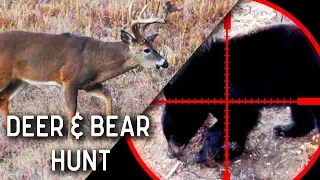 Hunting Big Deer & Black Bears with a Crossbow