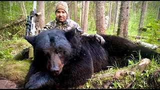 One of the Best Quick Action Boone Crockett Bear Hunt 2022 (Manitoba)