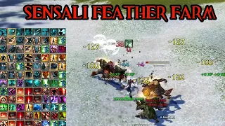 Guild Wars Solo Farm Guide #17 - Sensali Feather Farm [All Professions]