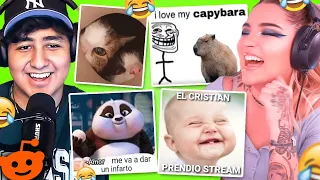 MEMES QUE SI DAN RISA ft. PUVLOO 😳😂