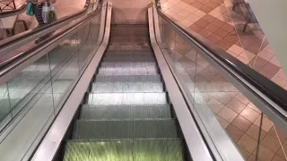 Riding All The Escalators in Toronto of 2018