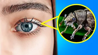 You Won't Believe What's Living on You Right Now