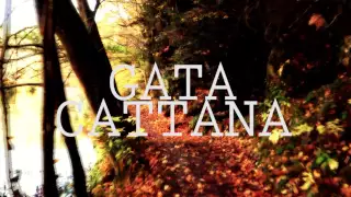 GATA CATTANA - EFEMÉRIDES