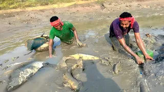 অনেকদিন পর পুকুর সেচে বড় বড় মাছ ধরে দারুন মজা পেলাম!!!